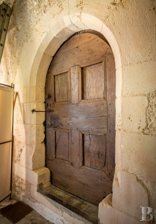 chateaux a vendre midi pyrenees   - 10