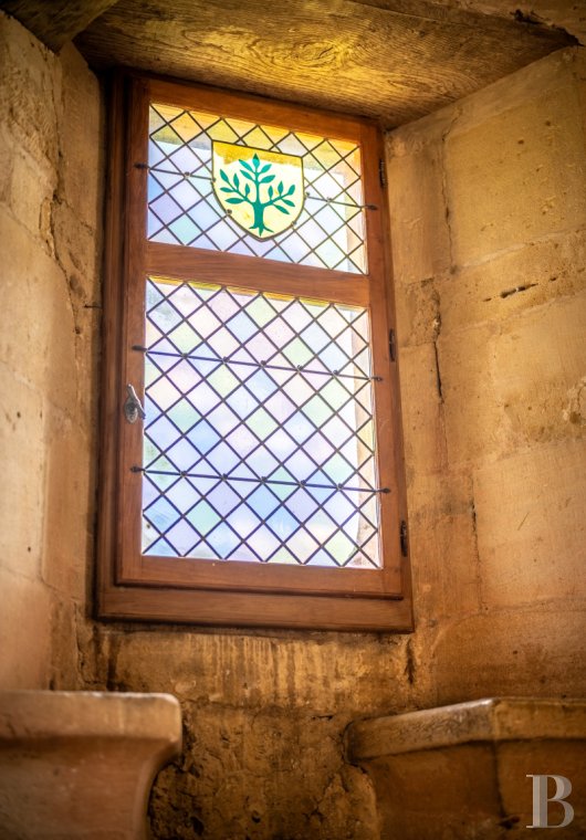 chateaux a vendre midi pyrenees   - 9