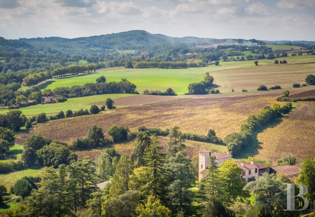 chateaux a vendre midi pyrenees   - 20
