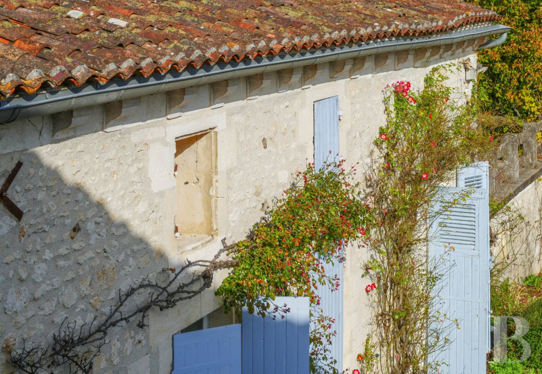 property for sale France poitou charentes   - 3