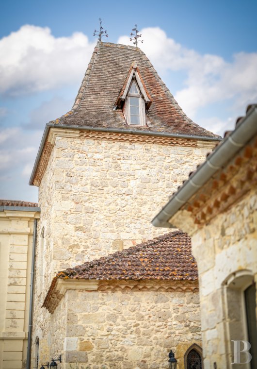 chateaux a vendre midi pyrenees   - 4