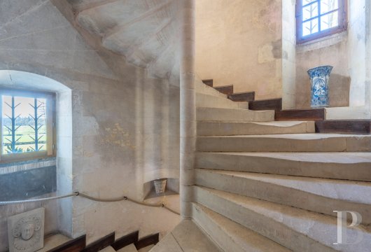 chateaux a vendre centre val de loire   - 9