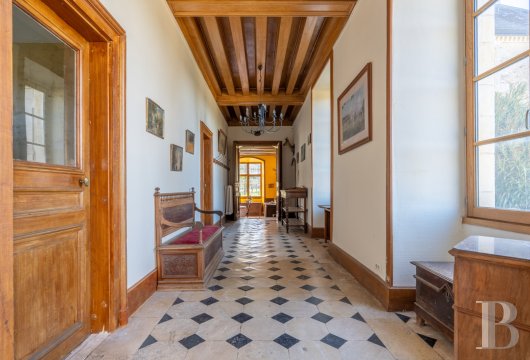 chateaux for sale France center val de loire   - 8
