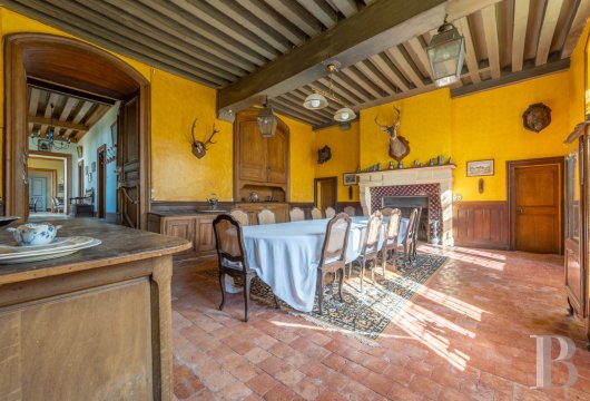 chateaux a vendre centre val de loire   - 7