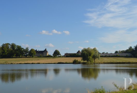 chateaux for sale France center val de loire   - 11