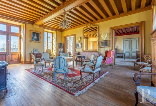 chateaux for sale France center val de loire   - 3