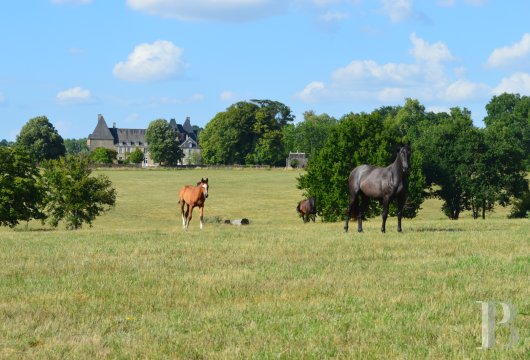 chateaux for sale France center val de loire   - 12