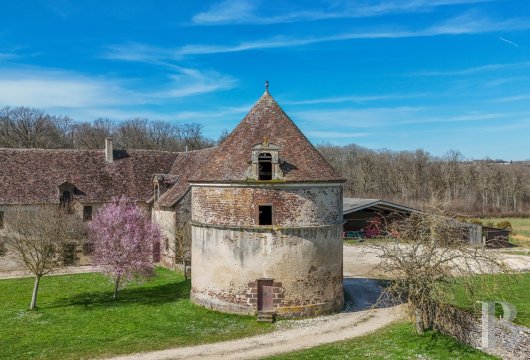 chateaux for sale France center val de loire   - 10