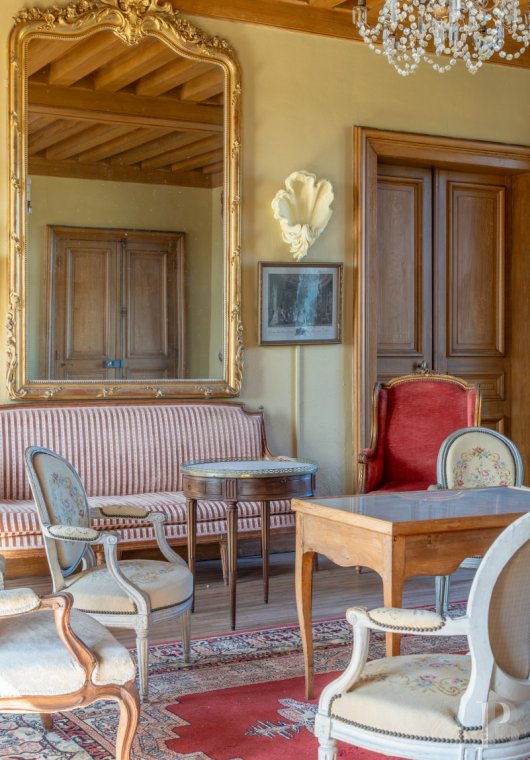 chateaux a vendre centre val de loire   - 8