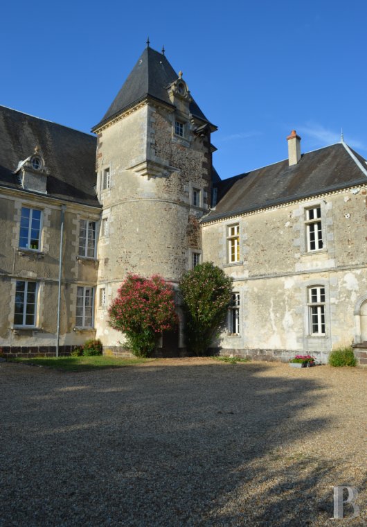 chateaux for sale France center val de loire   - 4