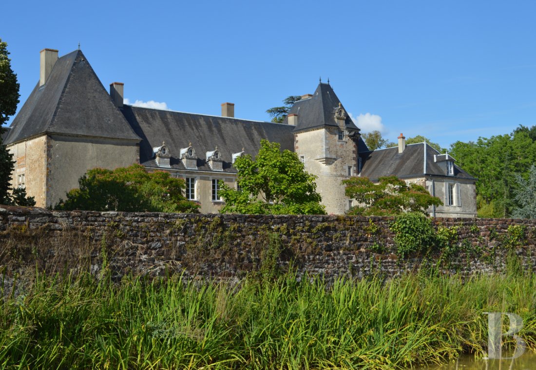 chateaux for sale France center val de loire   - 1