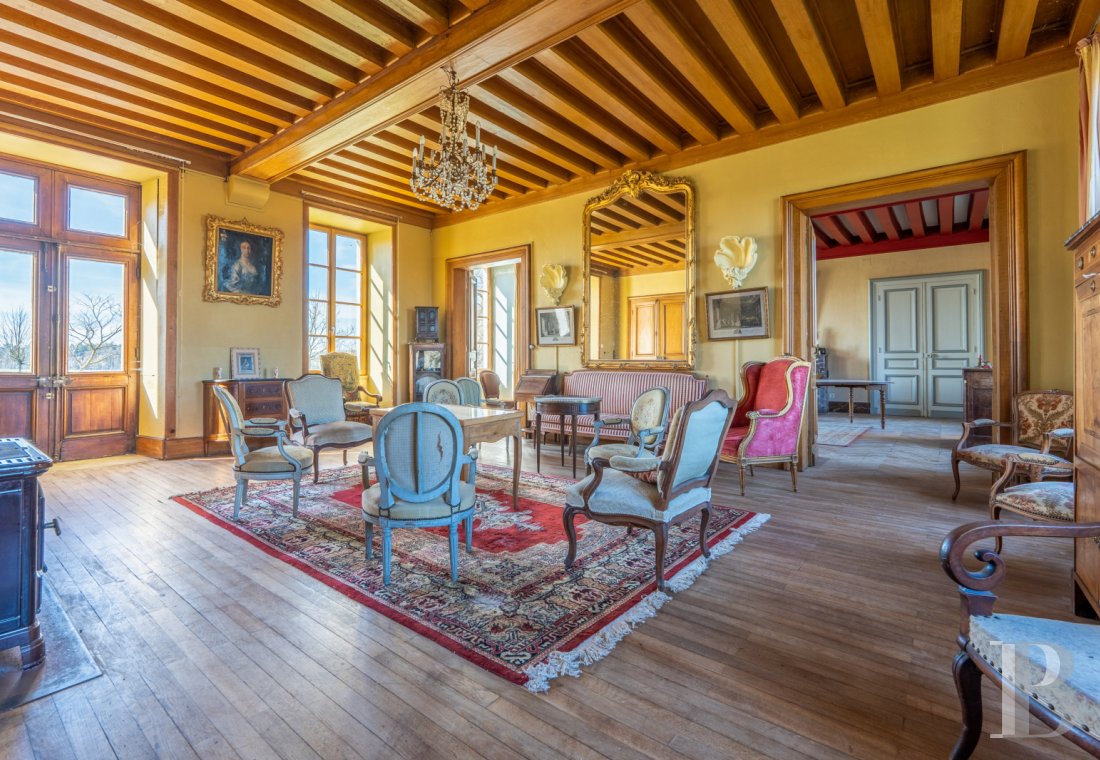 chateaux a vendre centre val de loire   - 6