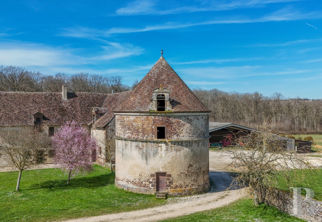 chateaux a vendre centre val de loire   - 10