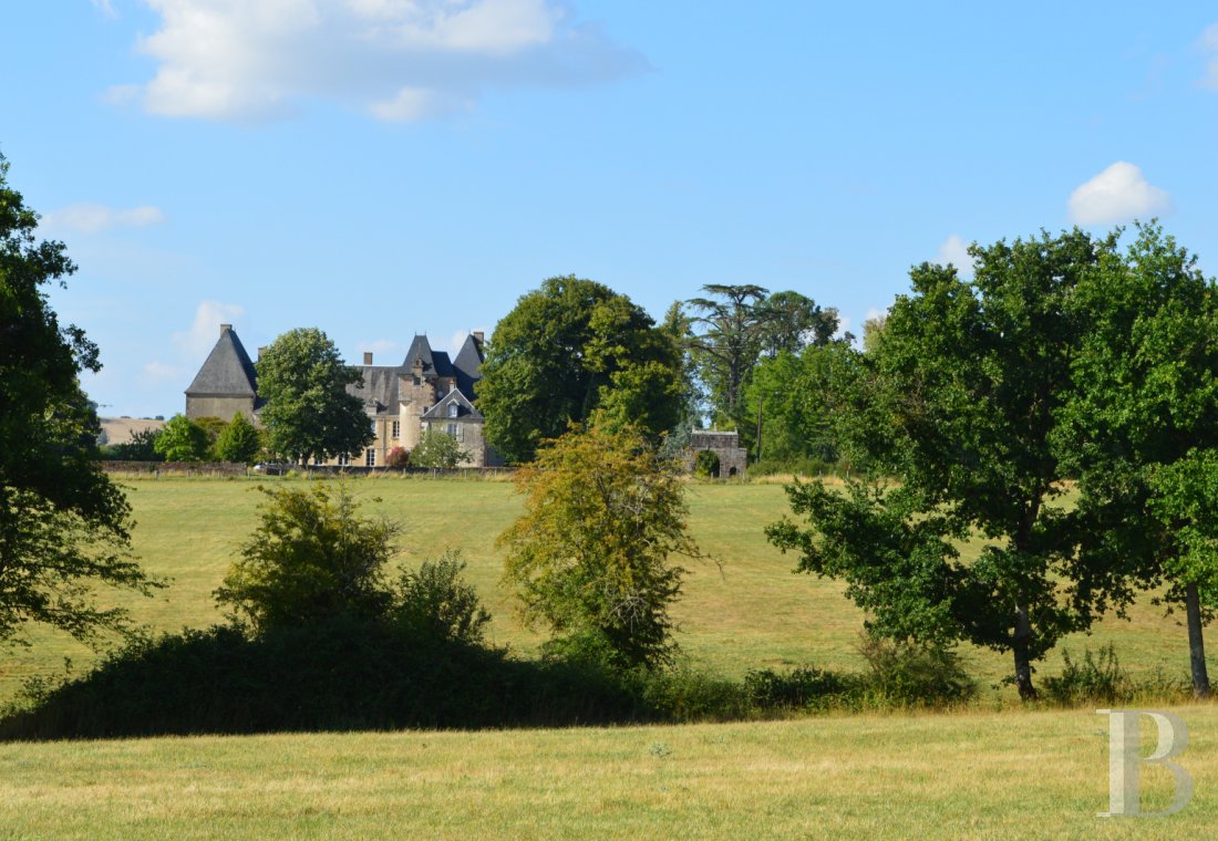 chateaux for sale France center val de loire   - 2