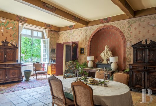 chateaux for sale France rhones alps   - 8