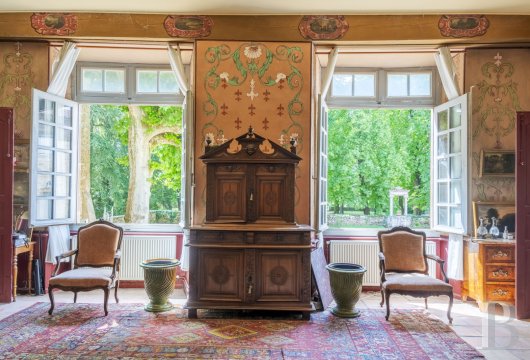 chateaux for sale France rhones alps   - 9