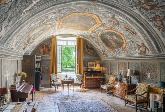chateaux for sale France rhones alps   - 10
