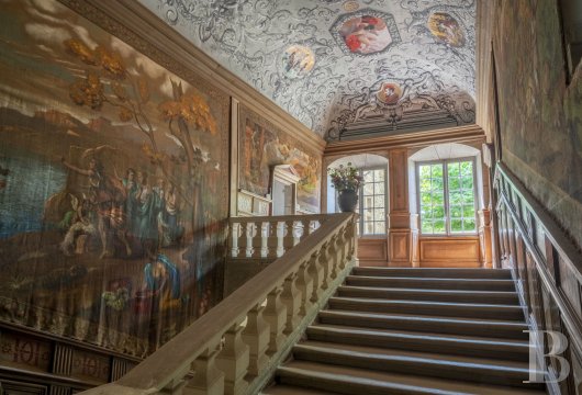 chateaux for sale France rhones alps   - 4