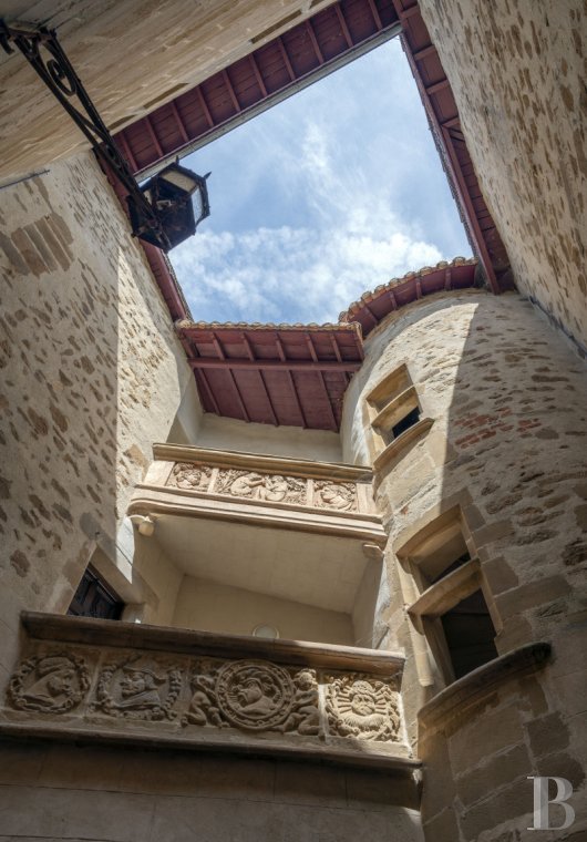 chateaux for sale France rhones alps   - 5
