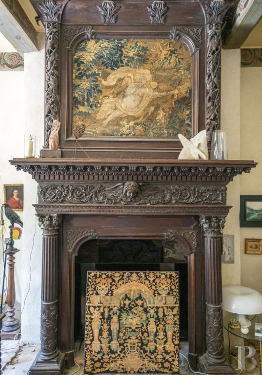 chateaux for sale France rhones alps   - 7