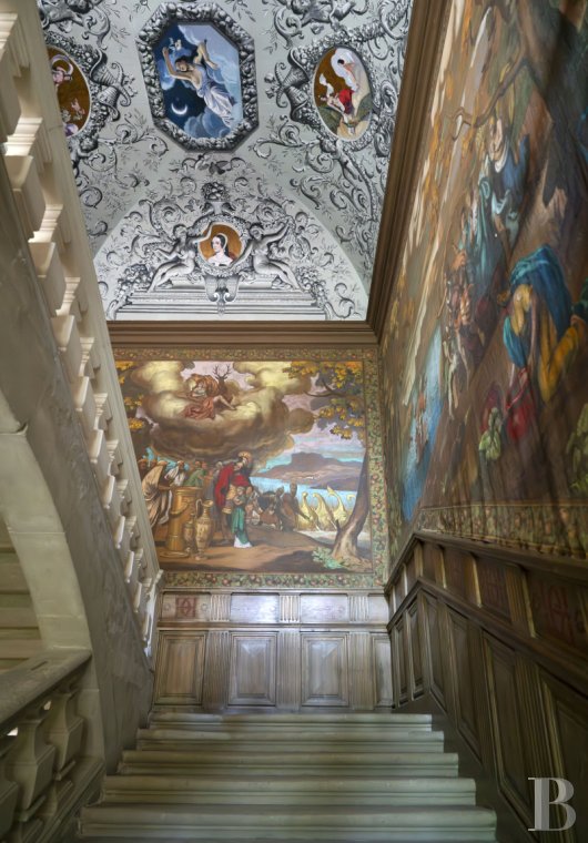 chateaux for sale France rhones alps   - 3
