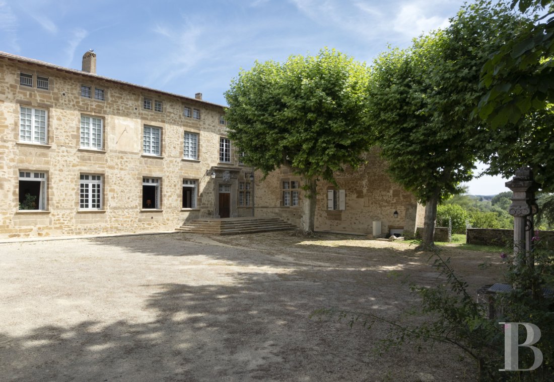 chateaux for sale France rhones alps   - 13