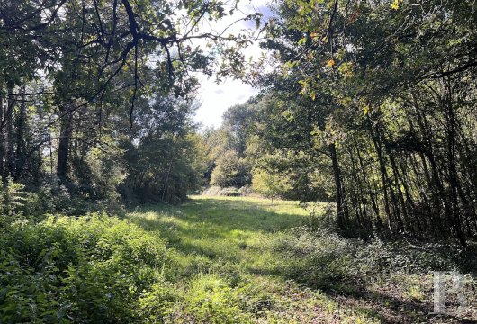 french mas and farms for sale center val de loire   - 18