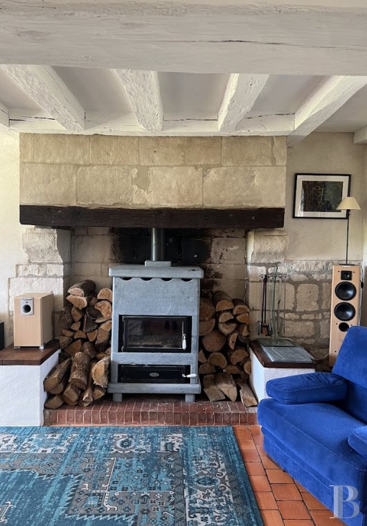 french mas and farms for sale center val de loire   - 5