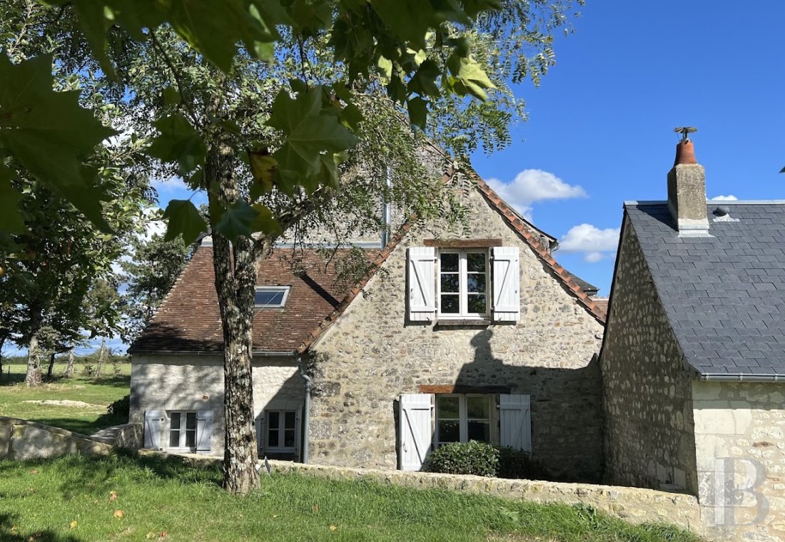 french mas and farms for sale center val de loire   - 10