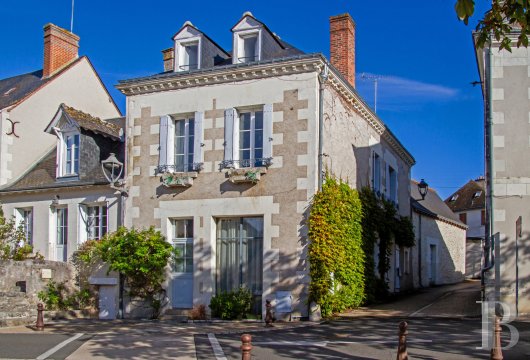 center-val-de-loire - A renovated town house with a vaulted cellar, 20 minutes from Tours