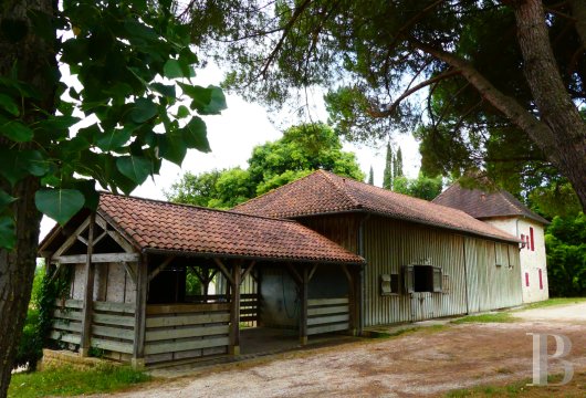 chateaux a vendre aquitaine   - 30