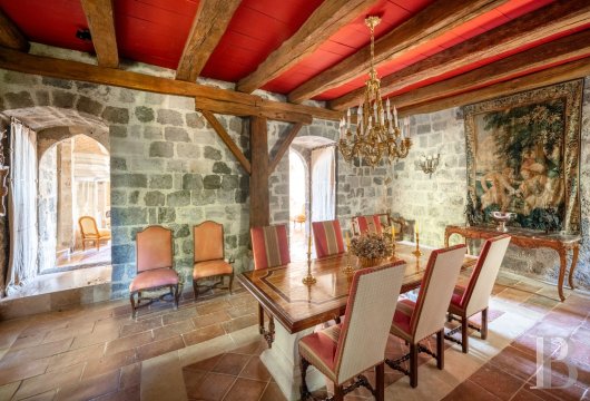chateaux a vendre aquitaine   - 12