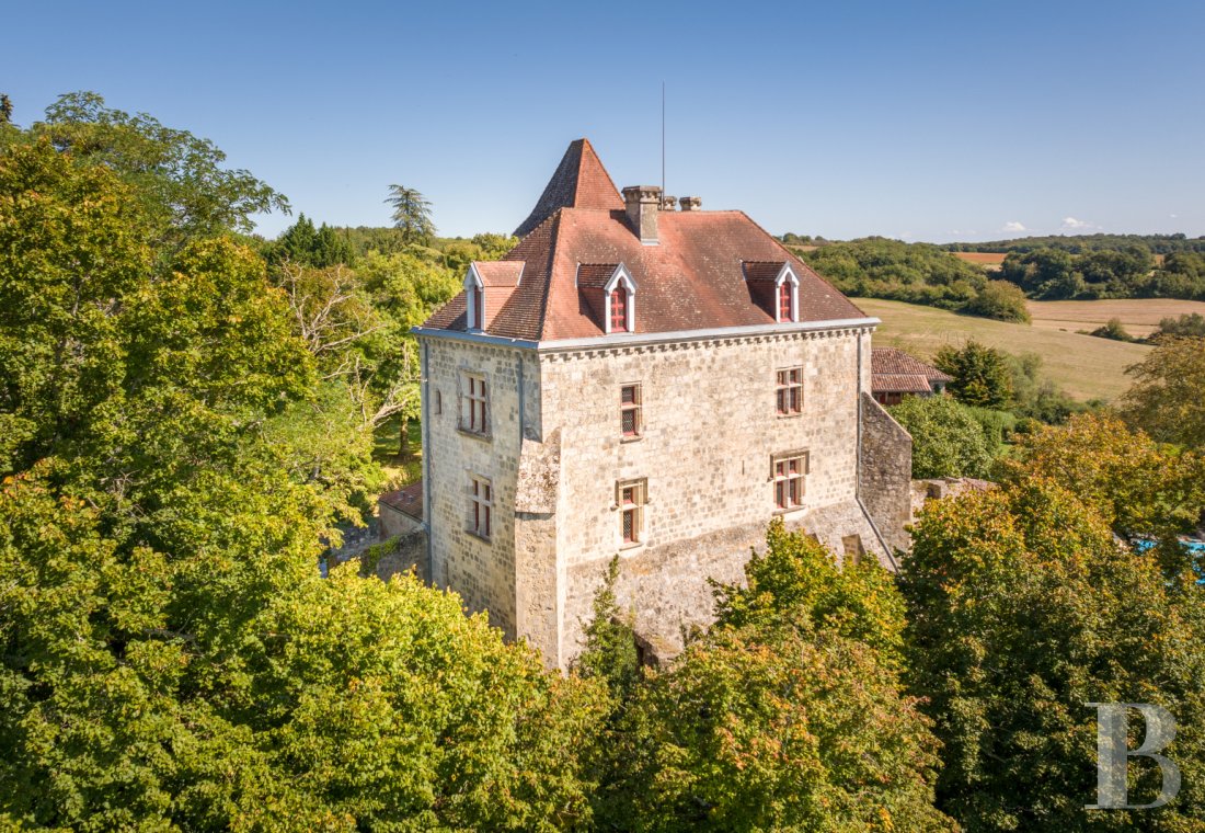 chateaux a vendre aquitaine   - 5