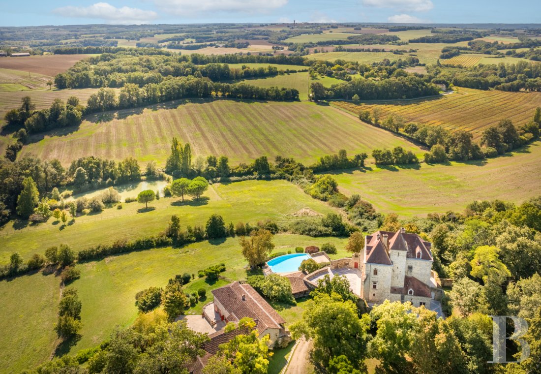 chateaux for sale France aquitaine   - 1