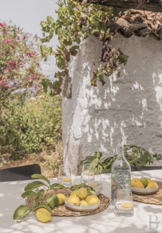 Aux Canaries, dans l’île de Gran Canaria, une finca du 19e siècle devenue une maison pleine d’inspiration - photo  n°28