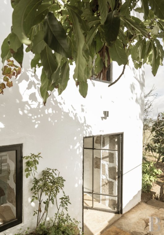 Aux Canaries, dans l’île de Gran Canaria, une finca du 19e siècle devenue une maison pleine d’inspiration - photo  n°24