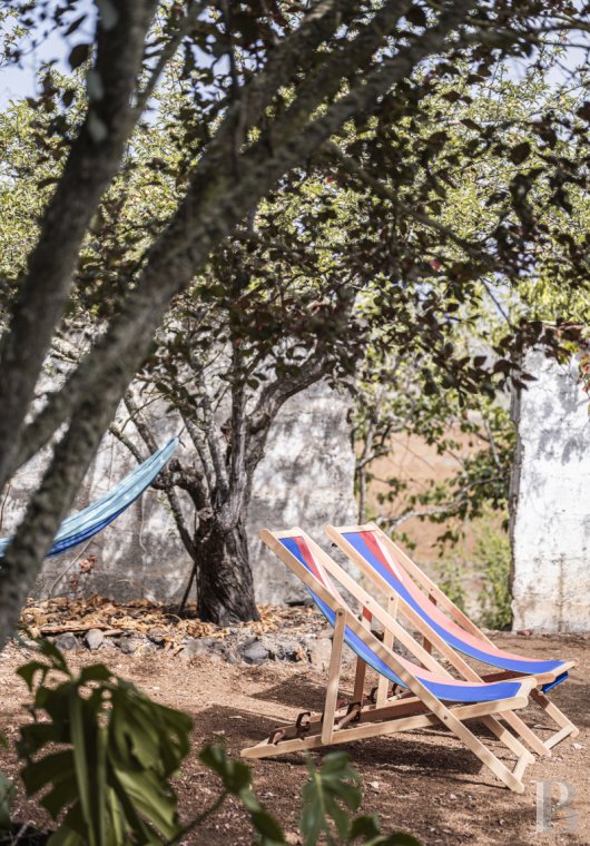Aux Canaries, dans l’île de Gran Canaria, une finca du 19e siècle devenue une maison pleine d’inspiration - photo  n°29