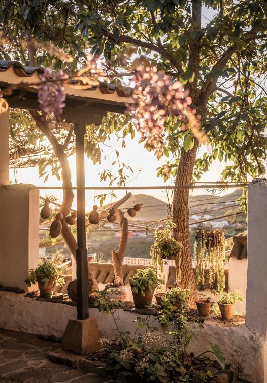 Aux Canaries, dans l’île de Gran Canaria, une finca du 19e siècle devenue une maison pleine d’inspiration - photo  n°28