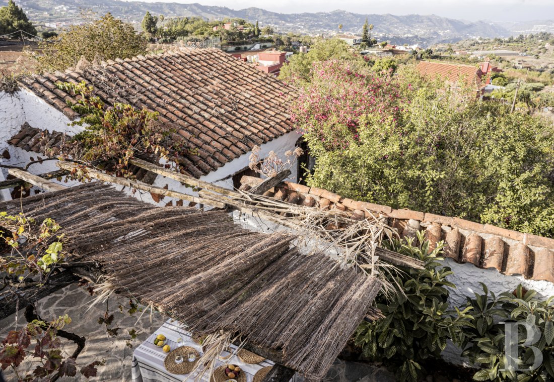 Aux Canaries, dans l’île de Gran Canaria, une finca du 19e siècle devenue une maison pleine d’inspiration - photo  n°22