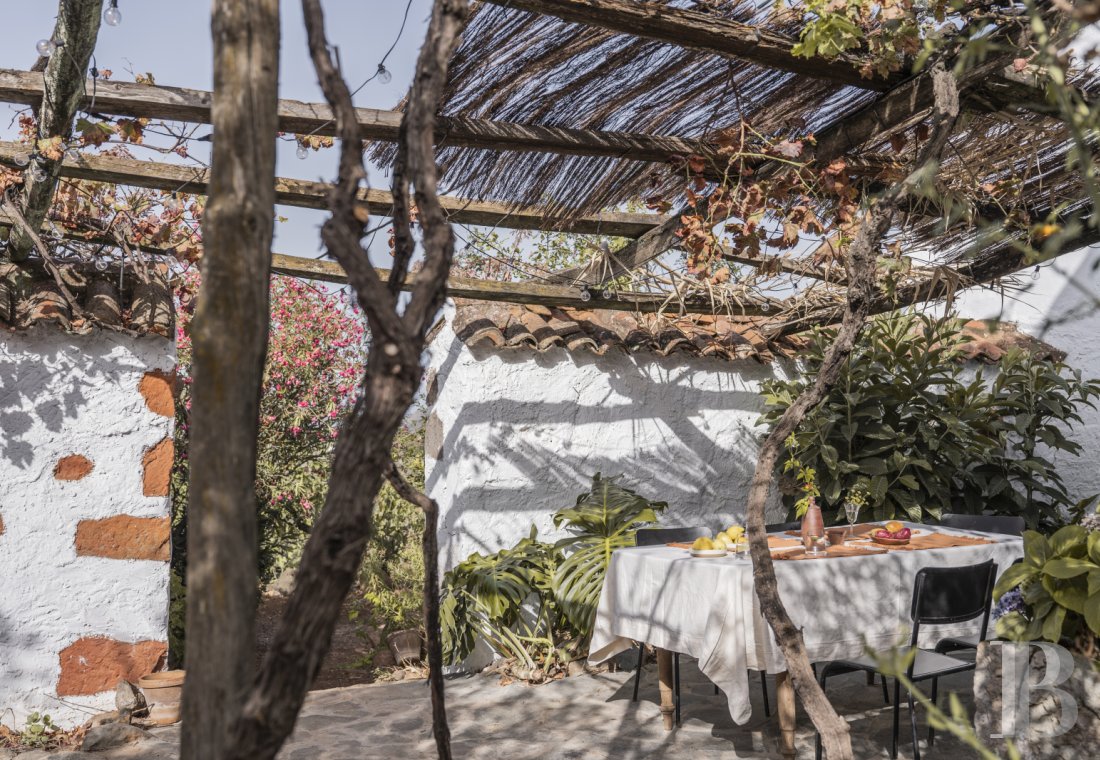 Aux Canaries, dans l’île de Gran Canaria, une finca du 19e siècle devenue une maison pleine d’inspiration - photo  n°25