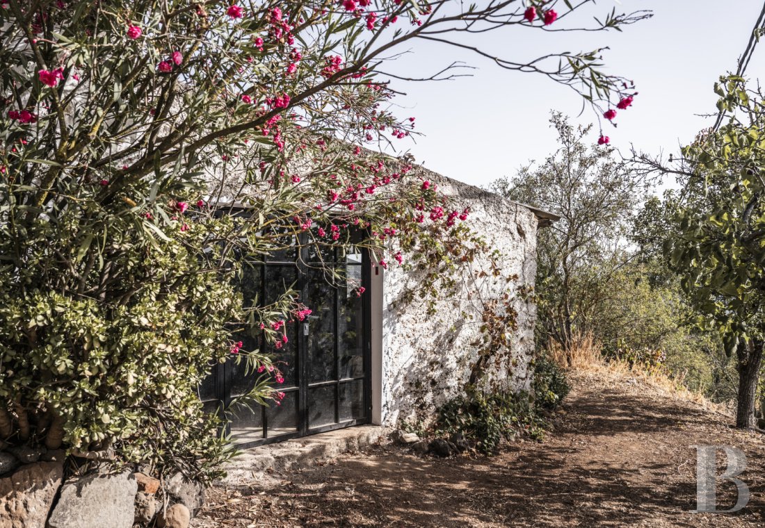 Aux Canaries, dans l’île de Gran Canaria, une finca du 19e siècle devenue une maison pleine d’inspiration - photo  n°30