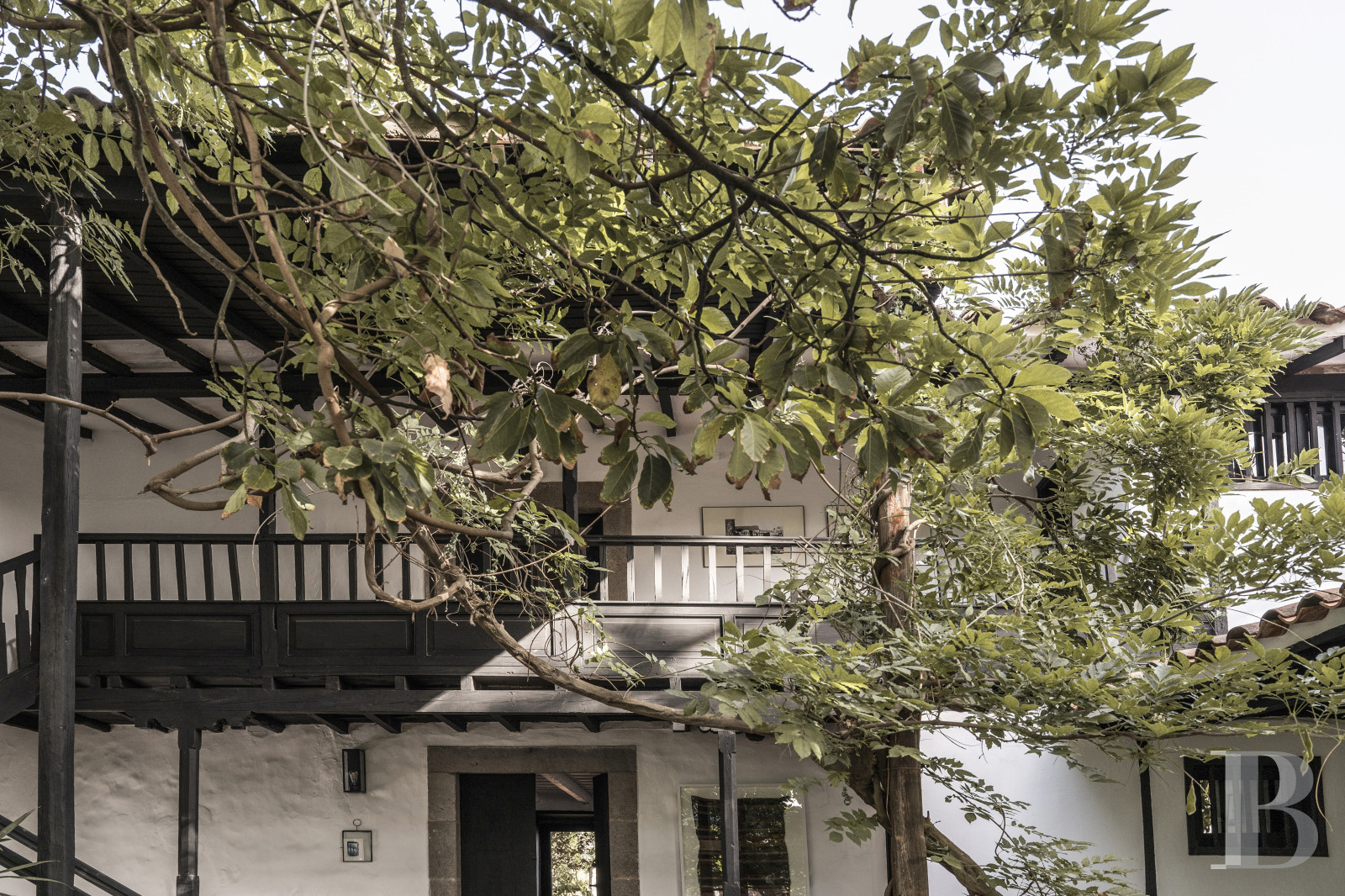 Aux Canaries, dans l’île de Gran Canaria, une finca du 19e siècle devenue une maison pleine d’inspiration - photo  n°10
