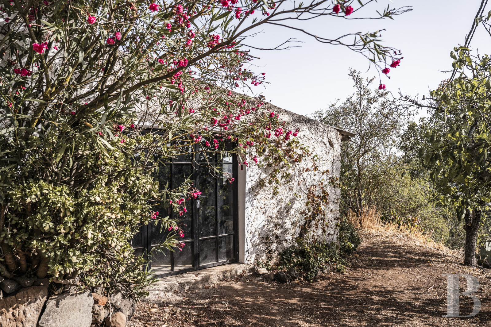 Aux Canaries, dans l’île de Gran Canaria, une finca du 19e siècle devenue une maison pleine d’inspiration - photo  n°30
