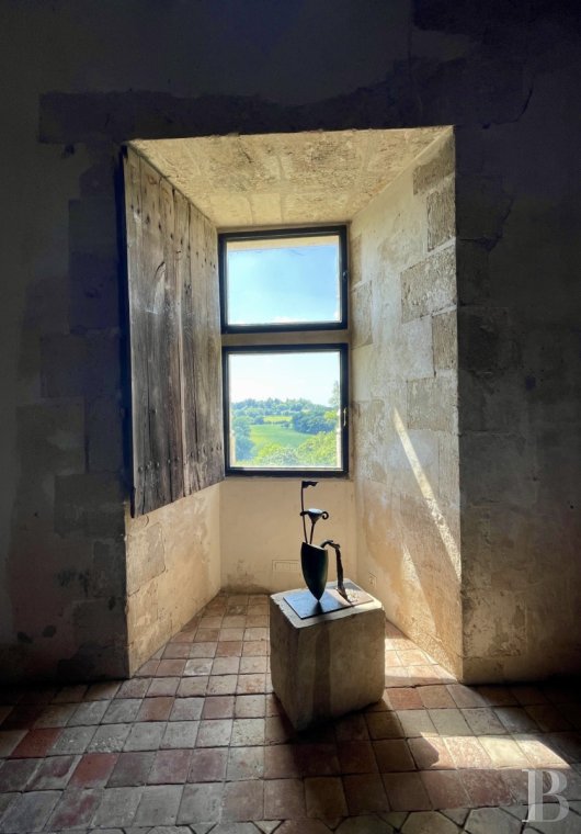 chateaux a vendre auvergne   - 9