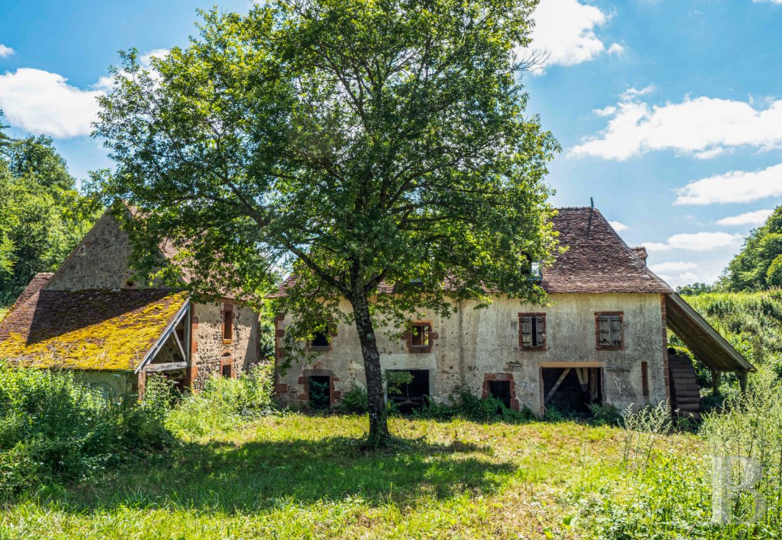 chateaux a vendre auvergne   - 19