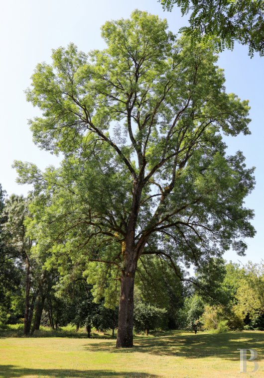 A manor house surrounded parkland and crossed by the River Sauldre in Romorantin, in the Sologne region - photo  n°36
