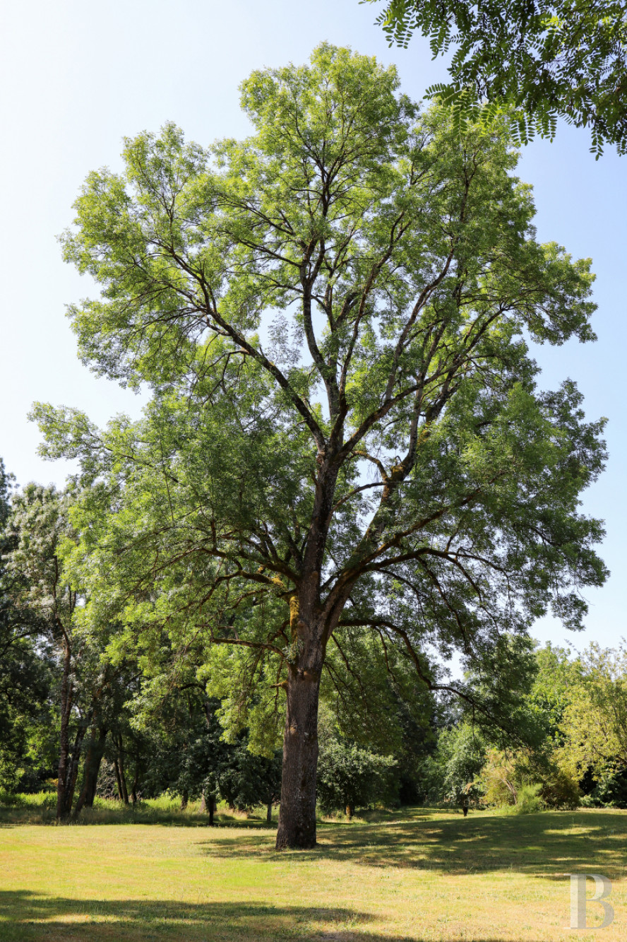 A manor house surrounded parkland and crossed by the River Sauldre in Romorantin, in the Sologne region - photo  n°36
