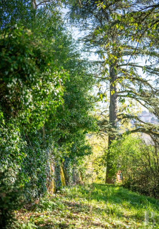 chateaux a vendre midi pyrenees   - 17