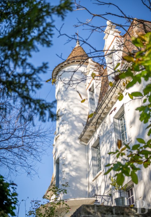 chateaux a vendre midi pyrenees   - 4