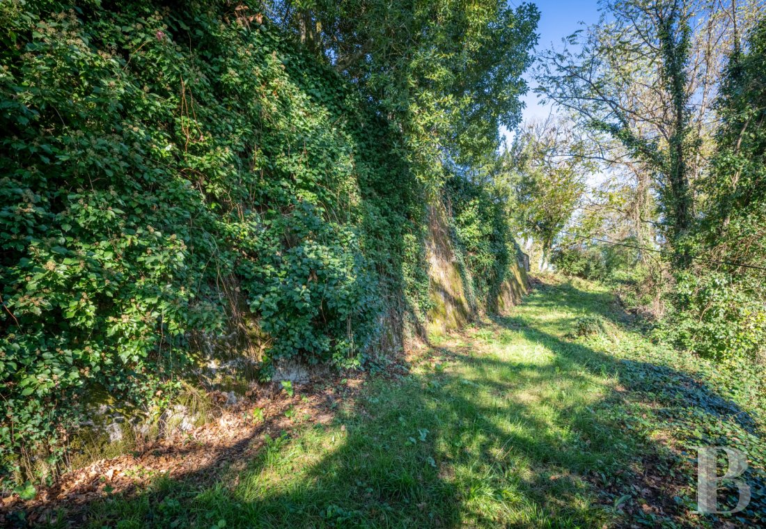 chateaux for sale France midi pyrenees   - 17